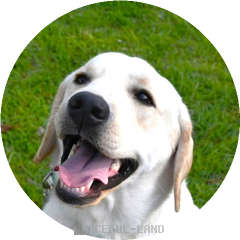 ジョージ3 202306